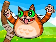 Angry Cat Shot Online  Games on NaptechGames.com