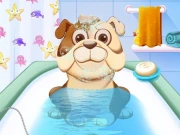 Animal Daycare Online Care Games on taptohit.com