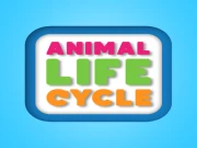 Animal Life Cycle Online  Games on NaptechGames.com
