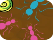 Ant Maze Online animal Games on taptohit.com