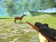 Big Game Hunting Online Shooter Games on taptohit.com