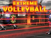 Extreme Volleyball Online robots Games on taptohit.com