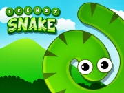 Frenzy Snake Online Casual Games on taptohit.com