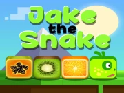 Jake the Snake Online  Games on NaptechGames.com