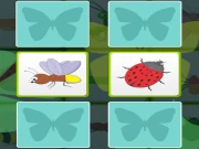 Kids Memory with Insects Online  Games on NaptechGames.com