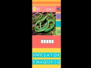 Picture Quiz Online Quiz Games on taptohit.com