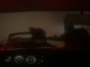 Spooky Jungle Safari Online Casual Games on taptohit.com