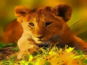 Wild Baby Animals Jigsaw Online Care Games on taptohit.com