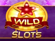 Wild Slot Online  Games on NaptechGames.com